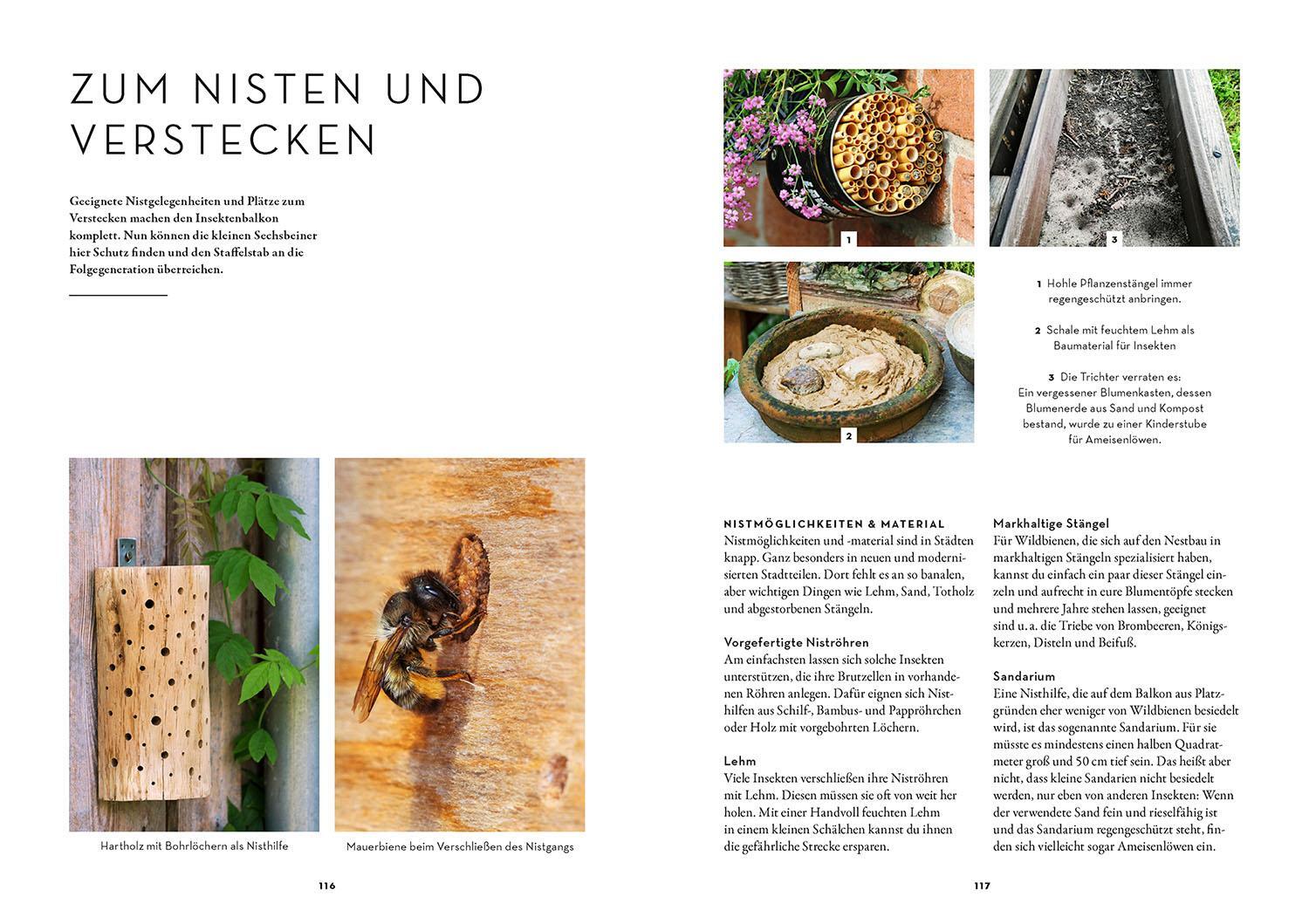 Bild: 9783440178232 | Dein Balkon summt! | Mareike Fedders | Taschenbuch | 128 S. | Deutsch