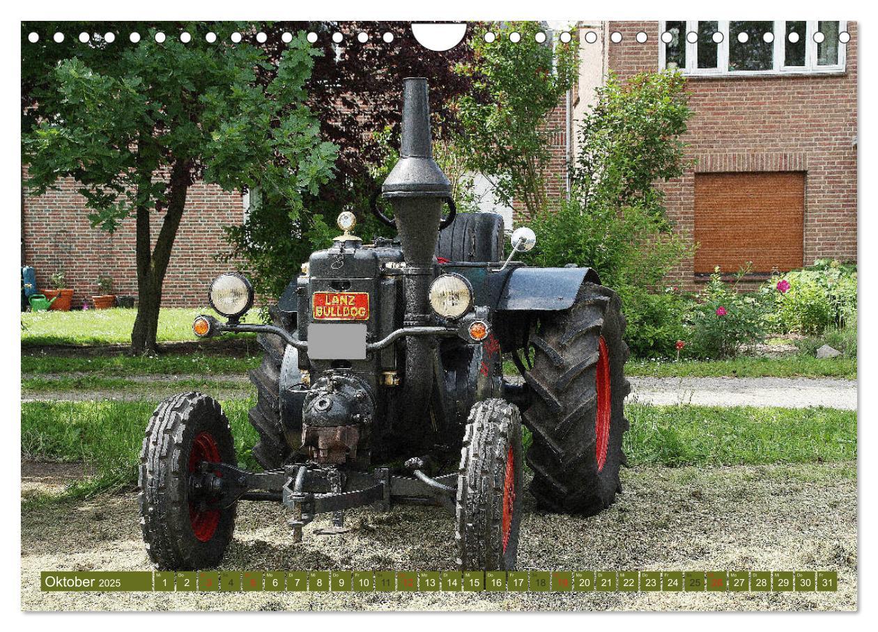 Bild: 9783435212576 | Traktoren - Altgediente Veteranen (Wandkalender 2025 DIN A4 quer),...