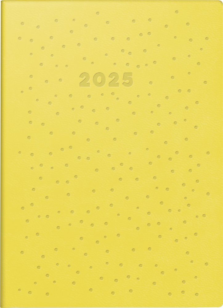 Cover: 4003273784796 | Taschenkalender Modell Technik S (2025) Dots | 2 Seiten = 1 Woche, A6