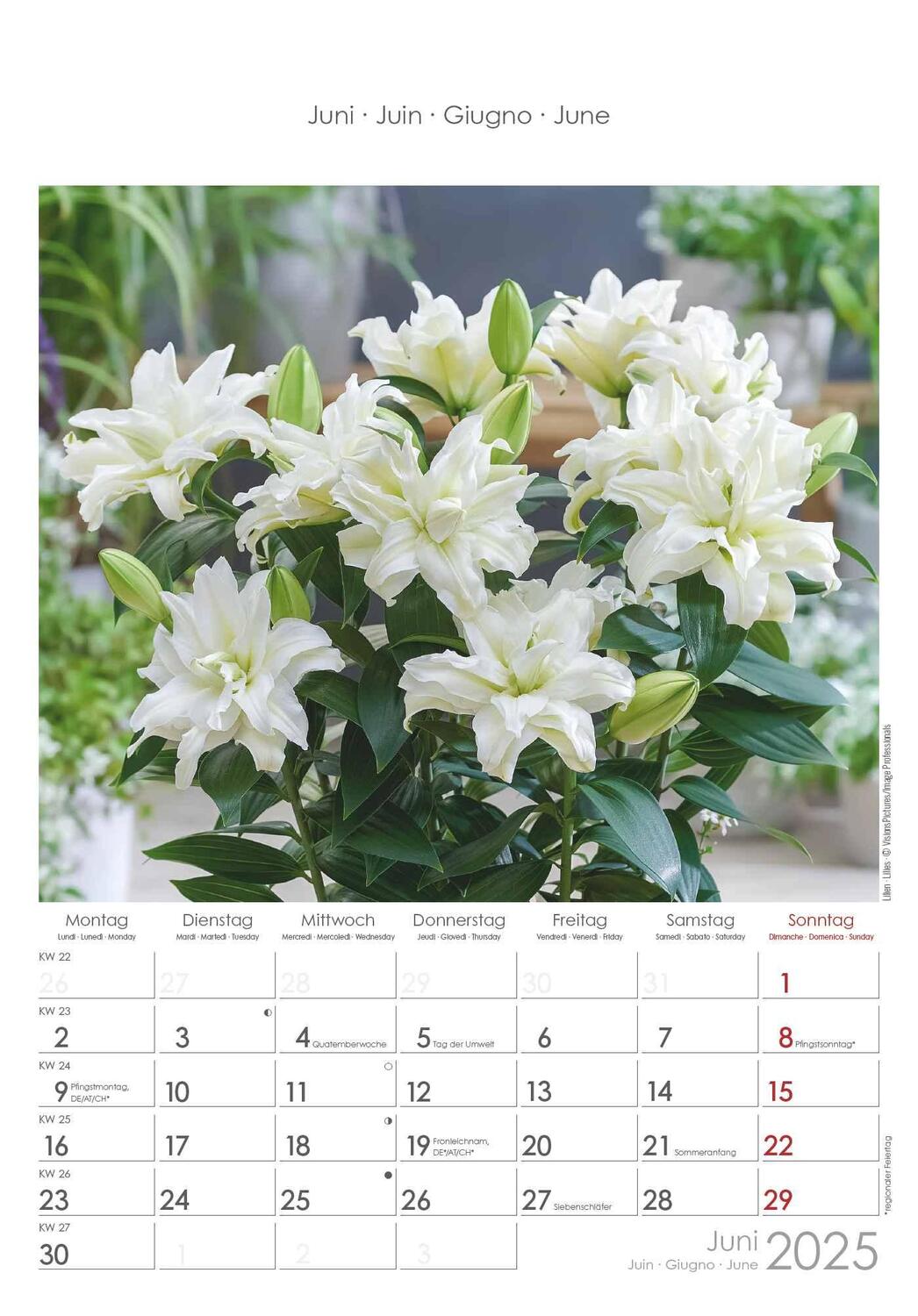 Bild: 4251732341008 | Blumen 2025 - Bildkalender 23,7x34 cm - Kalender mit Platz für...