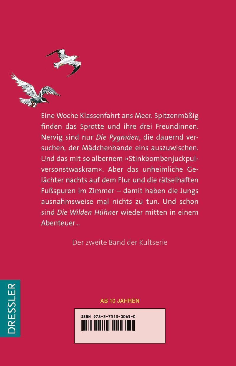 Rückseite: 9783751300650 | Die Wilden Hühner 2. Die Wilden Hühner auf Klassenfahrt | Funke | Buch