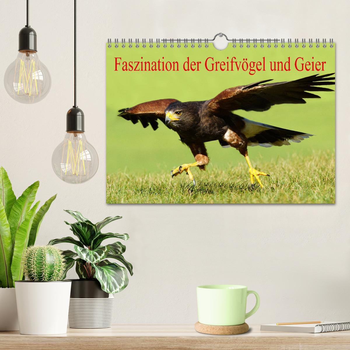 Bild: 9783435402946 | Faszination der Greifvögel und Geier (Wandkalender 2025 DIN A4...