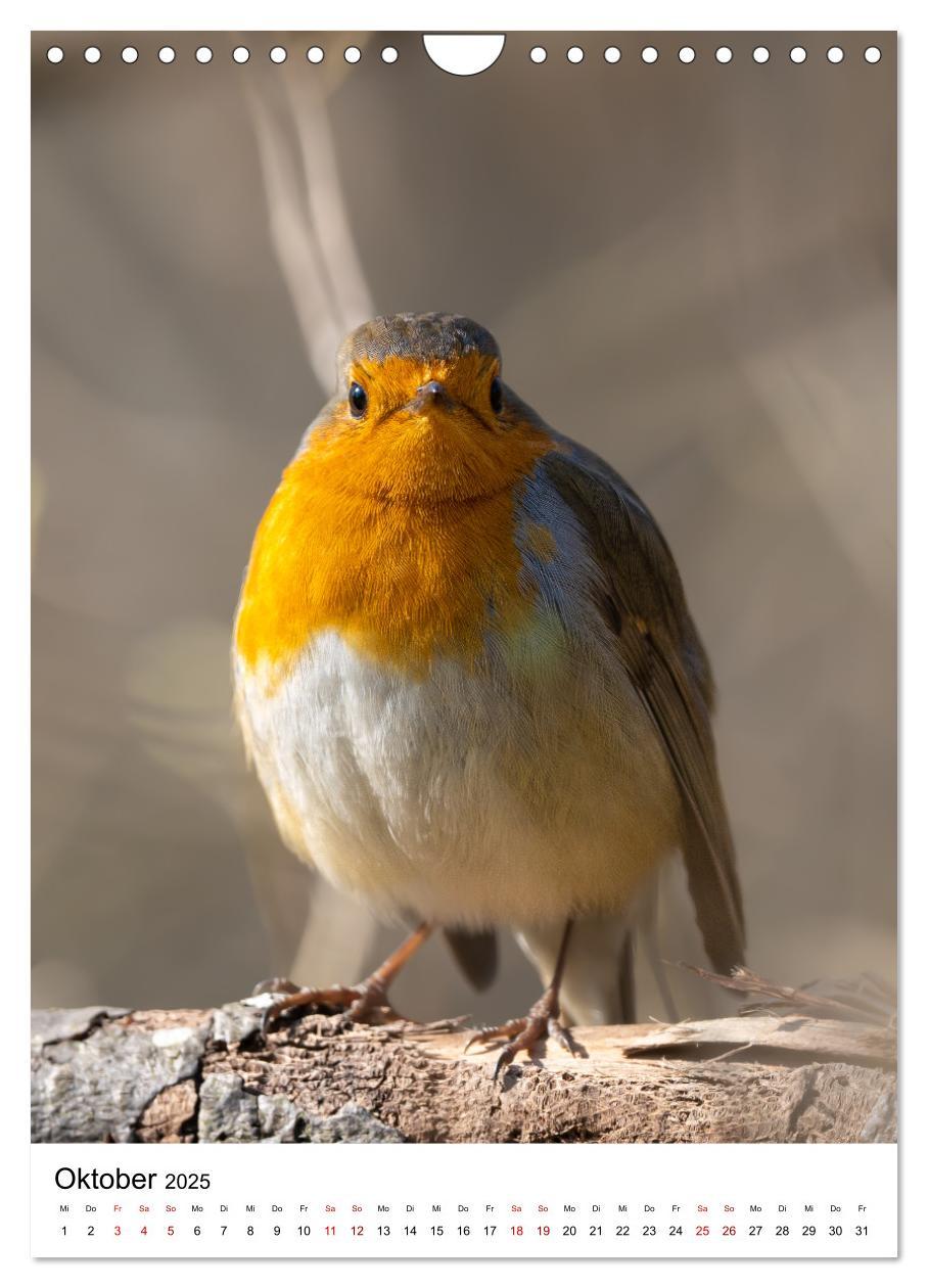 Bild: 9783435891641 | Heimische Vögel in Ihren Gärten (Wandkalender 2025 DIN A4 hoch),...