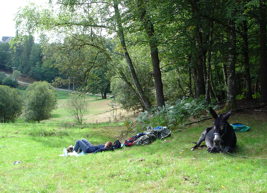 Bild: 9783981802559 | Esel - Wanderungen im Limousin | literarisch-fotografische Reisen