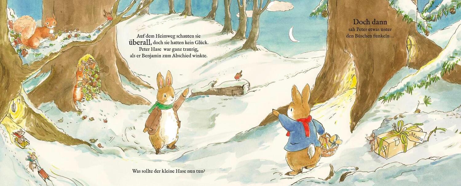 Bild: 9783737359535 | Peter Hase Das große Weihnachtsfest | Beatrix Potter | Buch | 24 S.