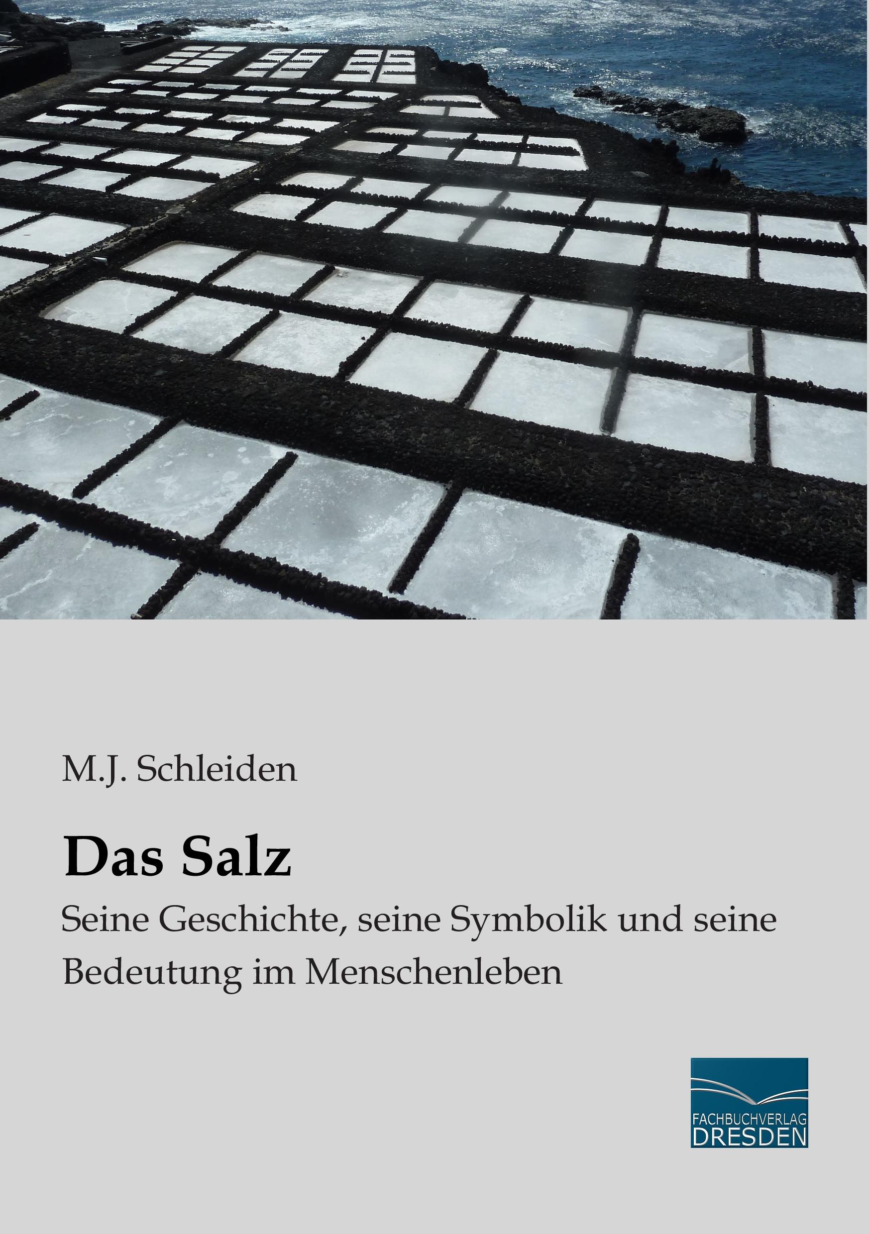 Cover: 9783956928475 | Das Salz | M. J. Schleiden | Taschenbuch | Paperback | 248 S. | 2015