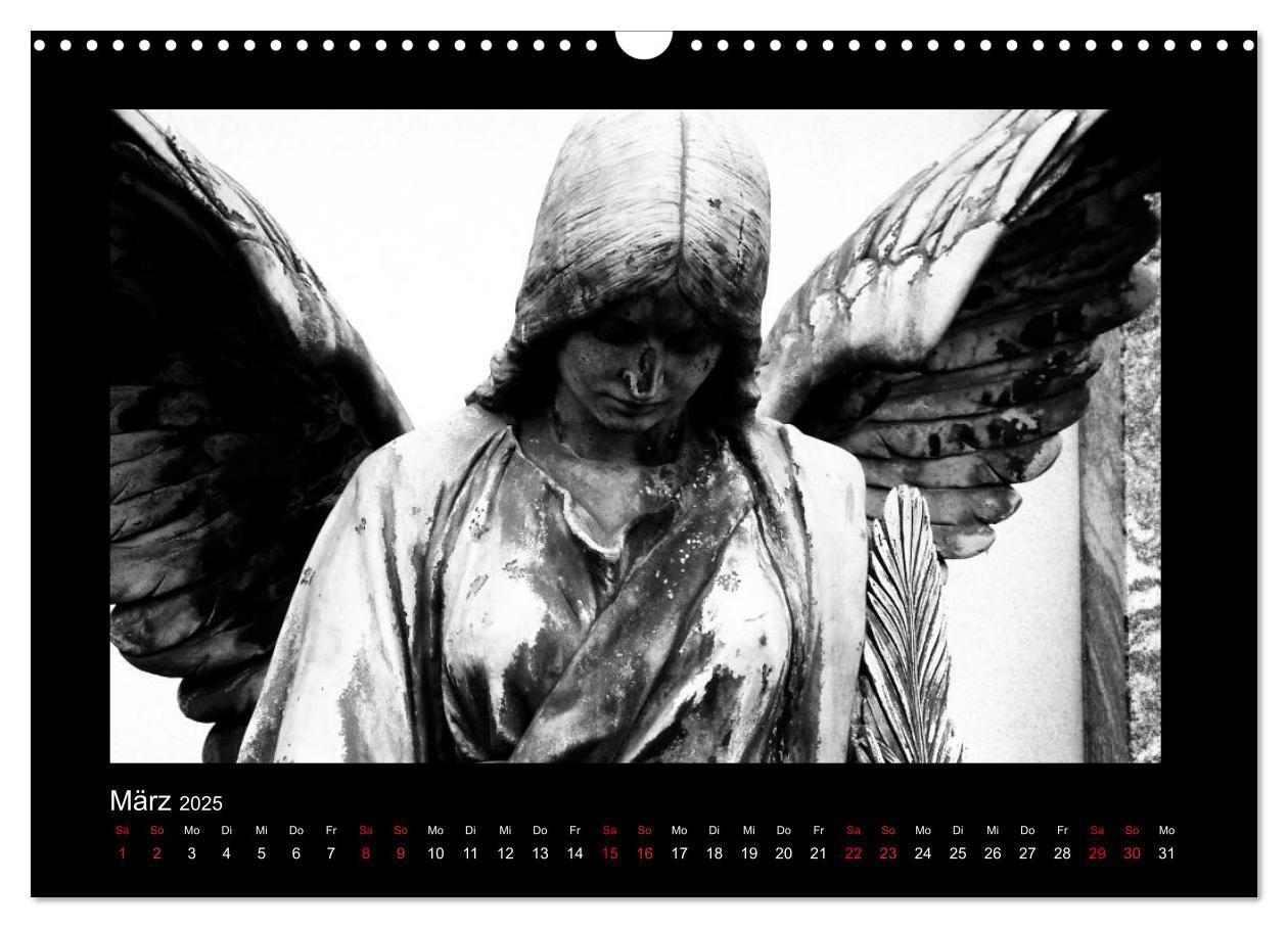 Bild: 9783435751327 | Die Engel von Melaten (Wandkalender 2025 DIN A3 quer), CALVENDO...