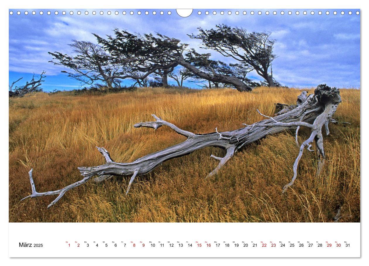 Bild: 9783435457991 | Faszinierendes Patagonien (Wandkalender 2025 DIN A3 quer), CALVENDO...