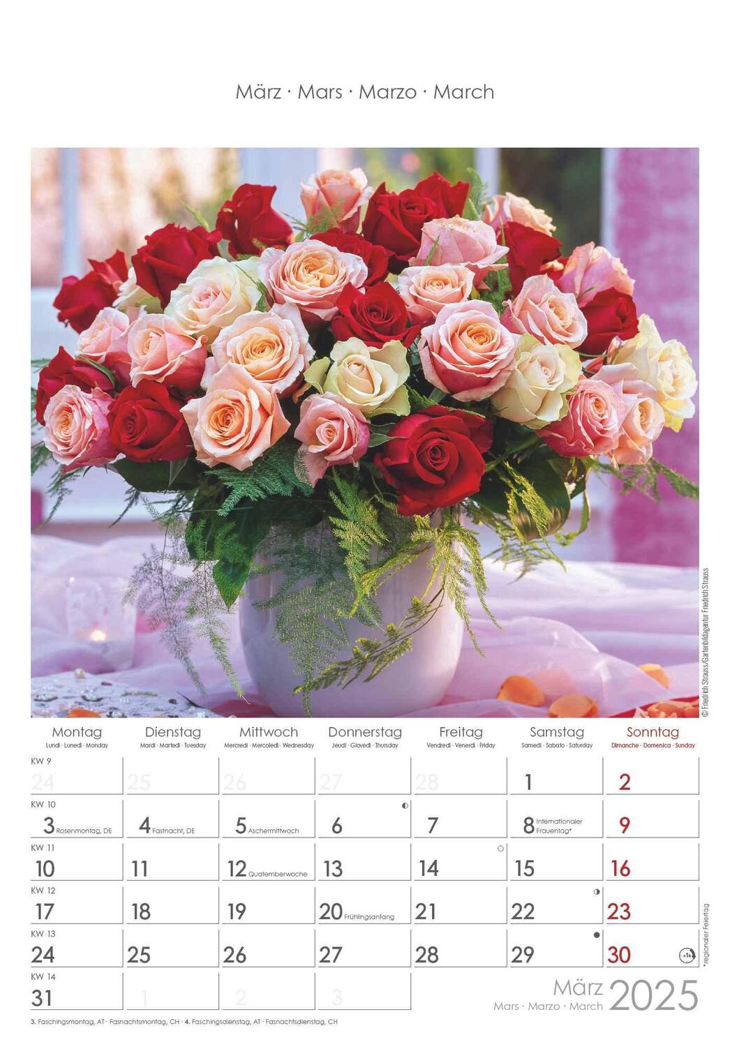 Bild: 4251732340995 | Rosenträume 2025 - Bildkalender 23,7x34 cm - Kalender mit Platz für...