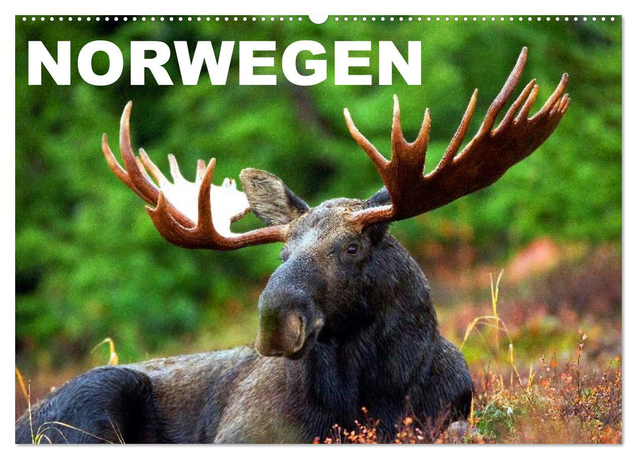 Cover: 9783435732623 | Norwegen (Wandkalender 2025 DIN A2 quer), CALVENDO Monatskalender