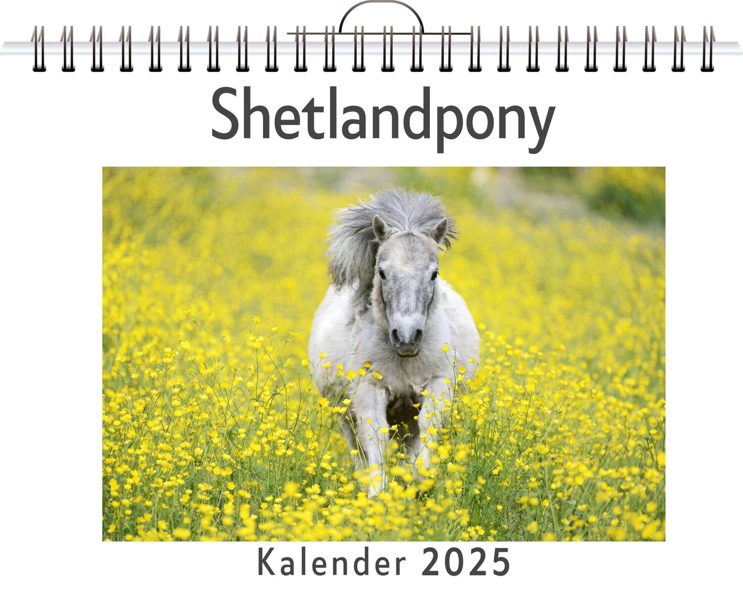 Cover: 9783759120342 | Shetlandpony | Anna Hoffmann | Kalender | Kalender | 14 S. | Deutsch