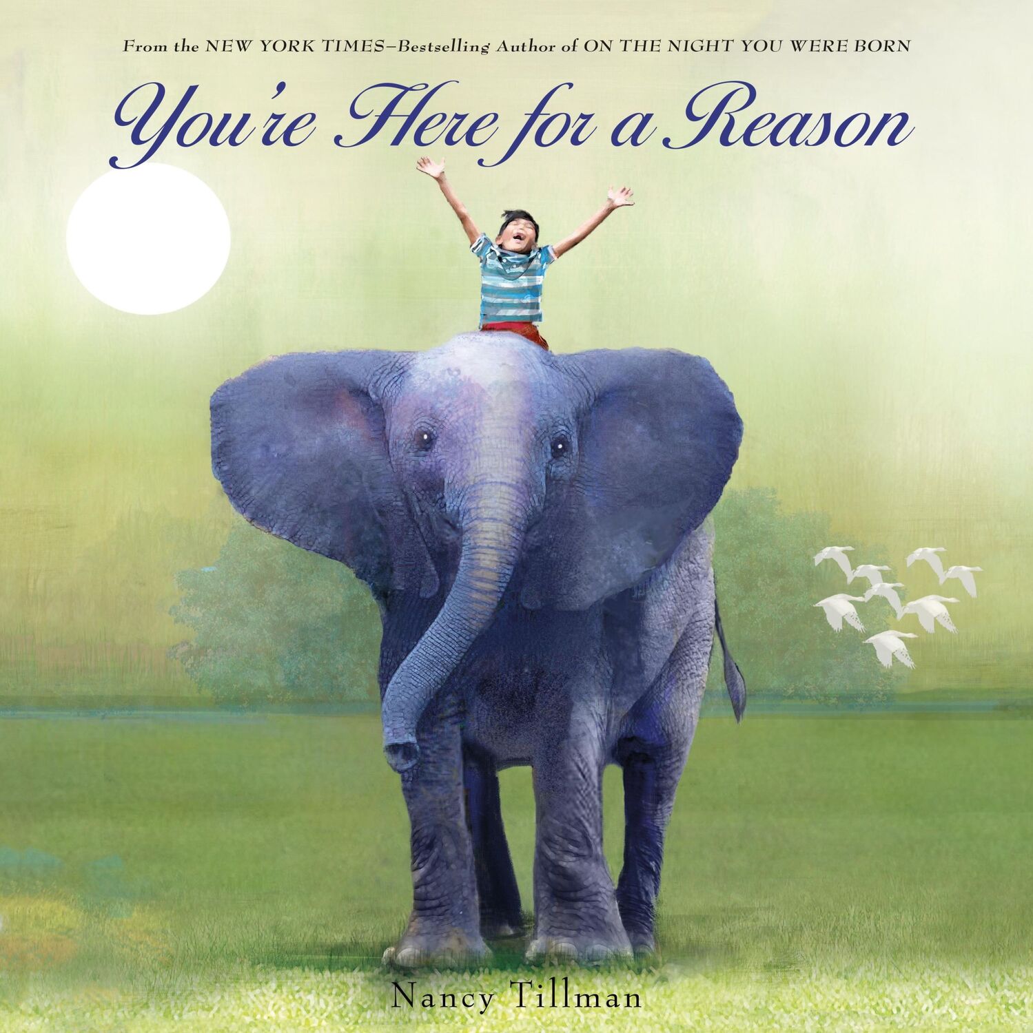 Autor: 9781250106506 | You're Here for a Reason | Nancy Tillman | Buch | Papp-Bilderbuch