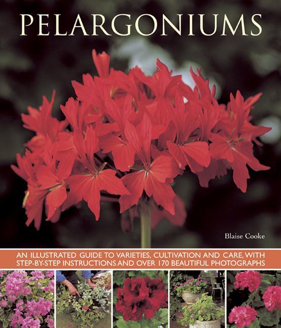 Cover: 9781780192734 | Pelargoniums | Blaise Cooke | Taschenbuch | Englisch | 2014