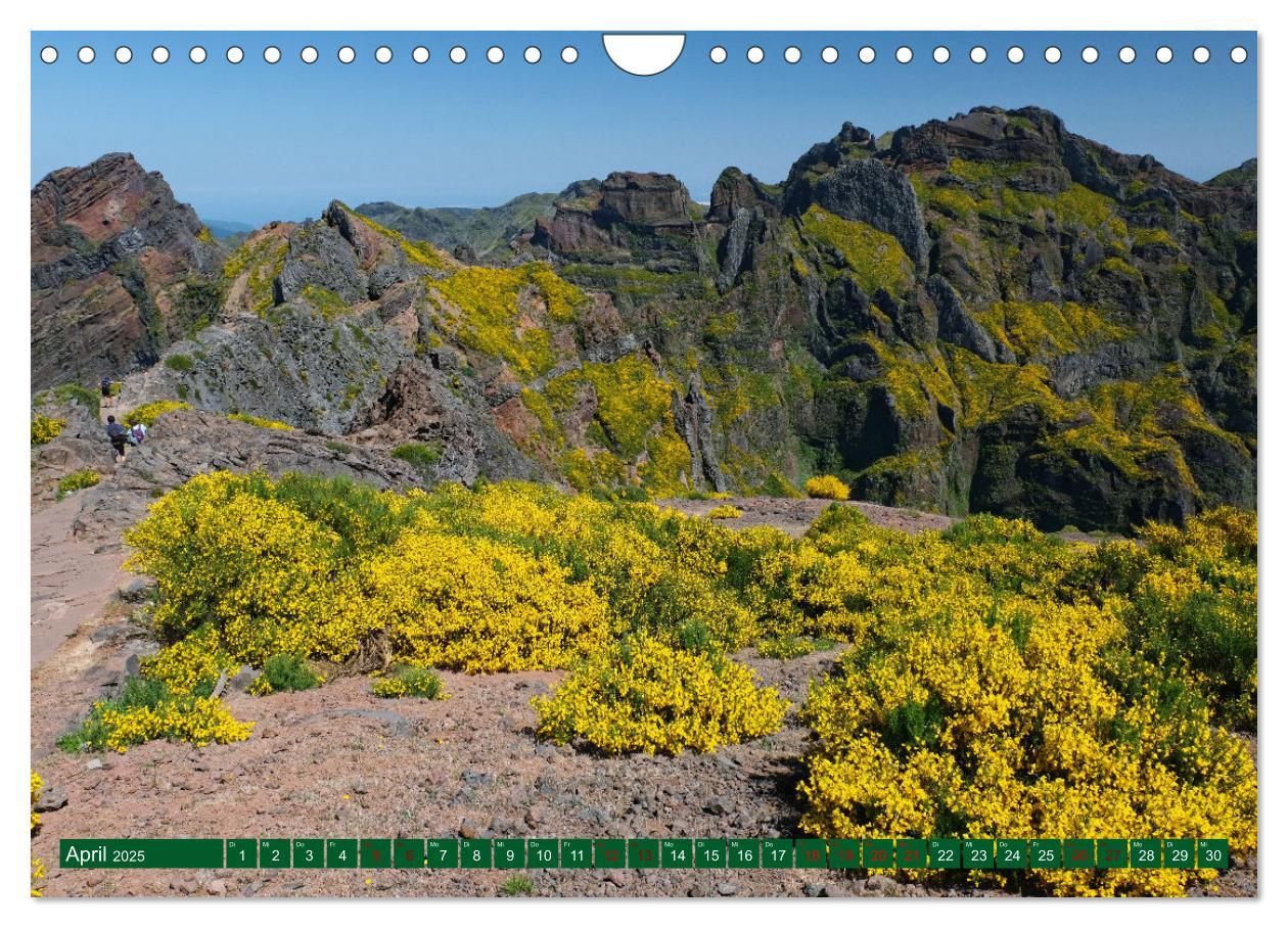 Bild: 9783383991080 | Madeira und Porto Santo (Wandkalender 2025 DIN A4 quer), CALVENDO...