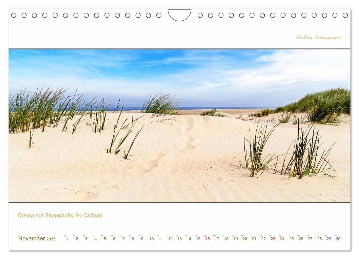 Bild: 9783435259441 | Borkum Inselpanorama (Wandkalender 2025 DIN A4 quer), CALVENDO...