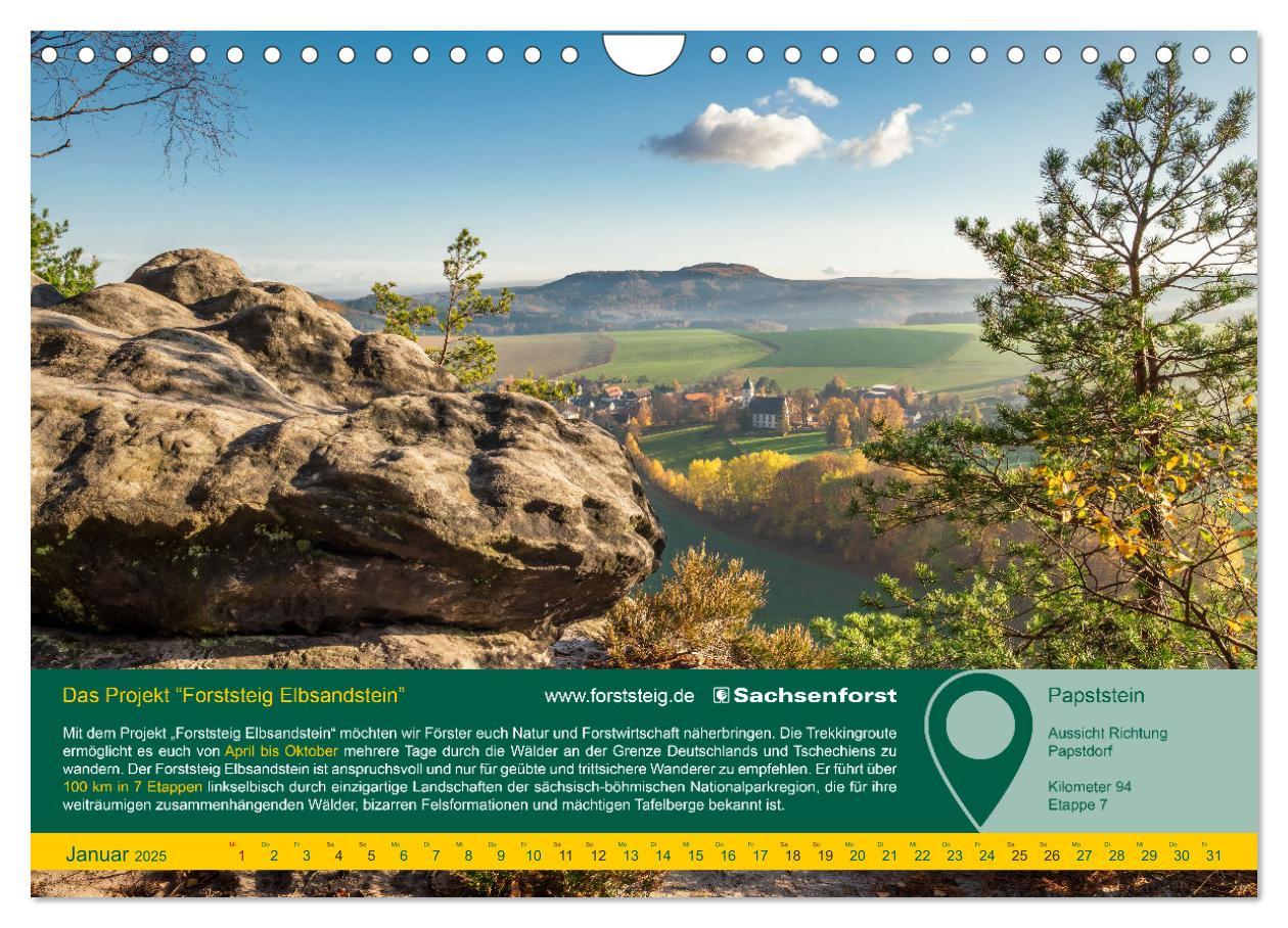 Bild: 9783383919145 | Erlebnis Forststeig Elbsandstein (Wandkalender 2025 DIN A4 quer),...