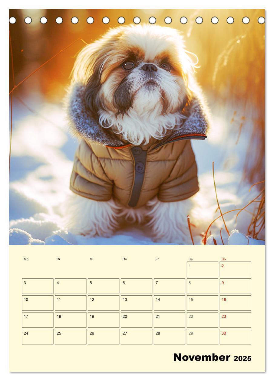 Bild: 9783435874514 | Shih Tzu Alarm. Glückliche Wuschelköpfe (Tischkalender 2025 DIN A5...