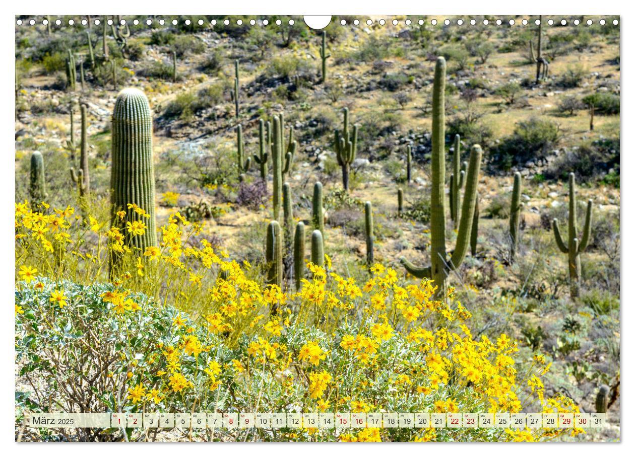 Bild: 9783383796555 | Unterwegs in ARIZONA (Wandkalender 2025 DIN A3 quer), CALVENDO...