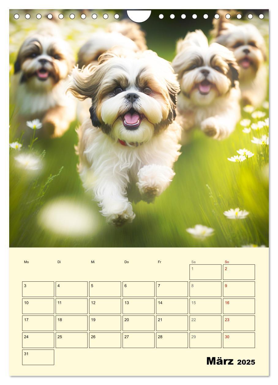 Bild: 9783435869749 | Shih Tzu Alarm. Glückliche Wuschelköpfe (Wandkalender 2025 DIN A4...