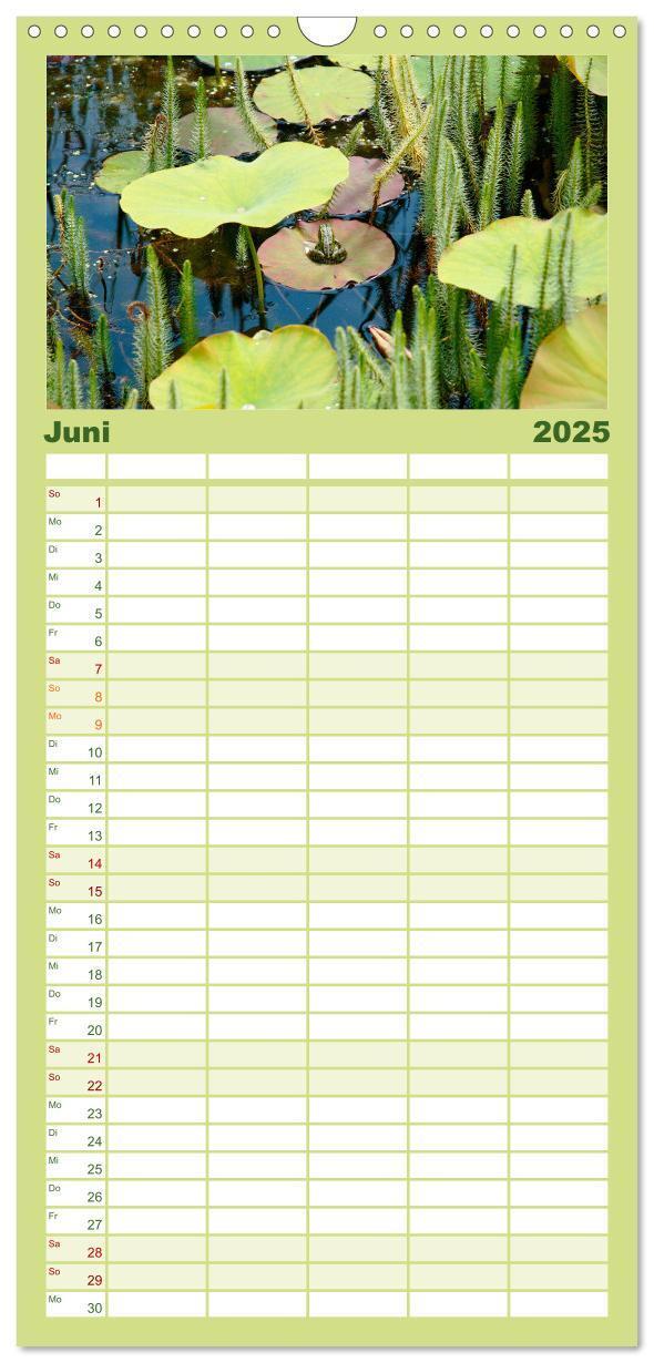 Bild: 9783457100844 | Familienplaner 2025 - Sanfte Natur mit 5 Spalten (Wandkalender, 21...