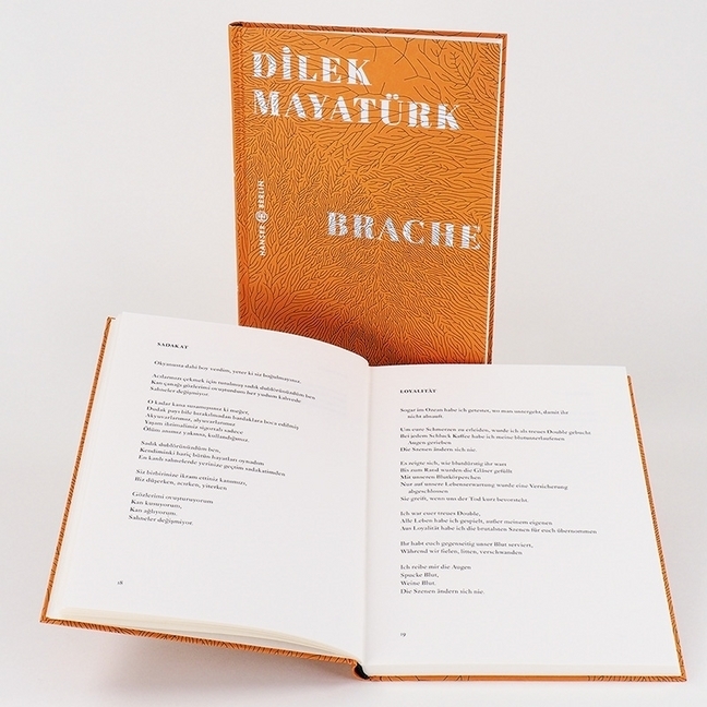 Bild: 9783446267862 | Brache | Gedichte | Dilek Mayatürk | Buch | 112 S. | Deutsch | 2020