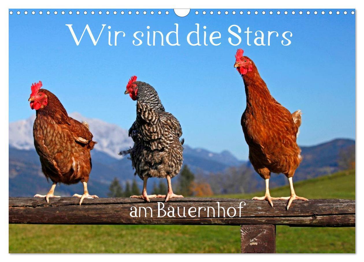 Cover: 9783435493333 | Wir sind die Stars am Bauernhof (Wandkalender 2025 DIN A3 quer),...