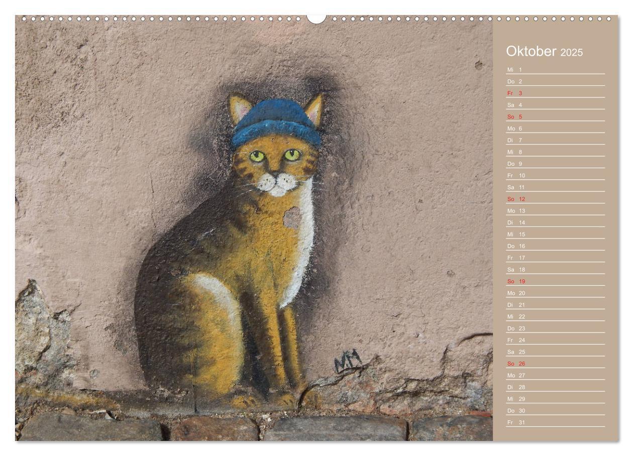 Bild: 9783435289691 | Flensburger Katzen (Wandkalender 2025 DIN A2 quer), CALVENDO...