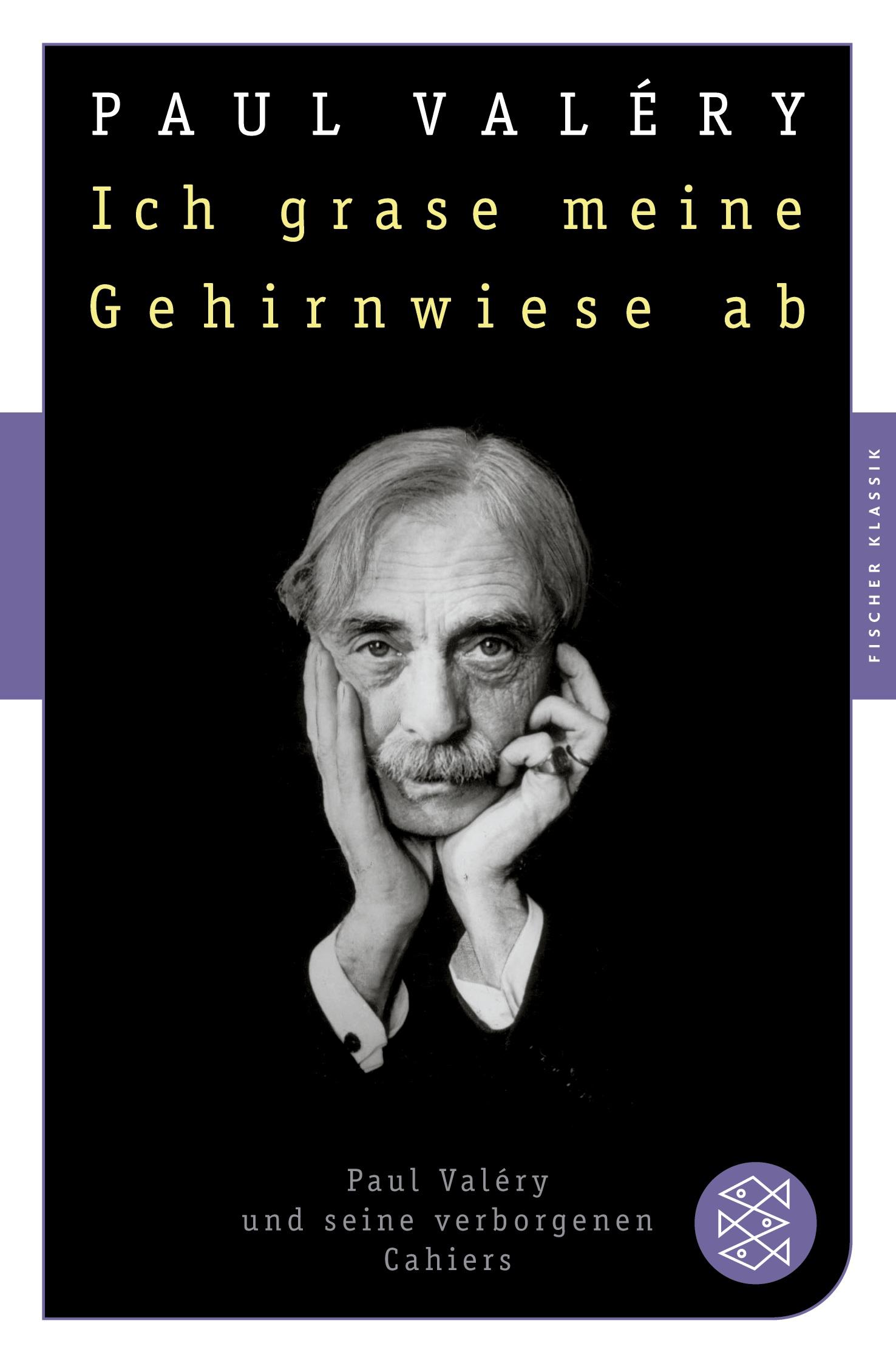 Cover: 9783596906024 | Ich grase meine Gehirnwiese ab | Paul Valéry | Taschenbuch | 368 S.