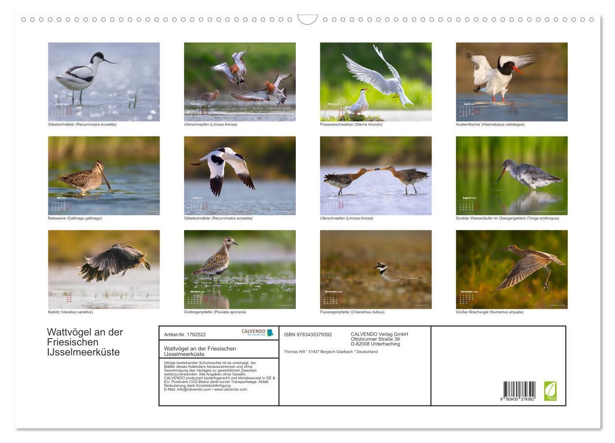 Bild: 9783435379392 | Wattvögel an der Friesischen IJsselmeerküste (Wandkalender 2025 DIN...