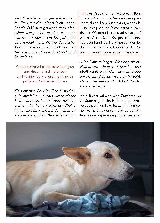 Bild: 9783936188745 | Grenzen setzen | fair und wirksam | Maria Hense | Buch | 125 S. | 2020