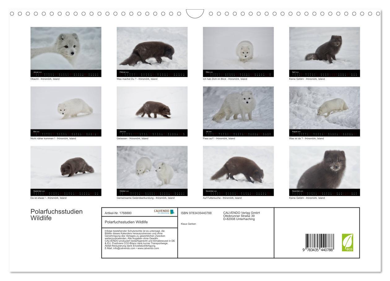 Bild: 9783435440788 | Polarfuchsstudien Wildlife (Wandkalender 2025 DIN A3 quer),...