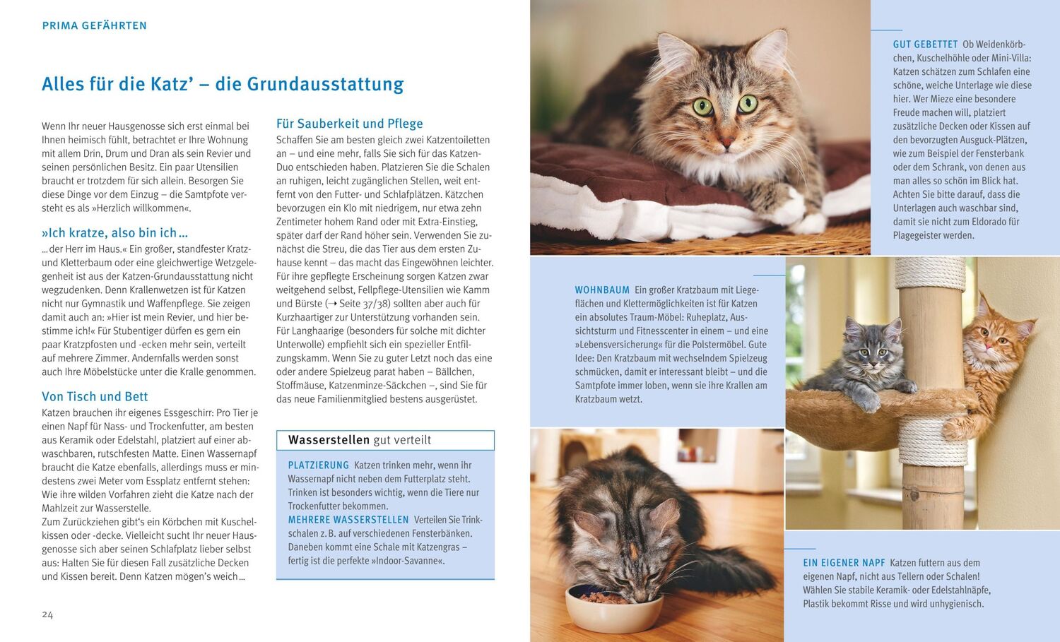 Bild: 9783833852176 | Katzen | Wohlfühl-Garantie für kleine und große Schnurrer | Buch