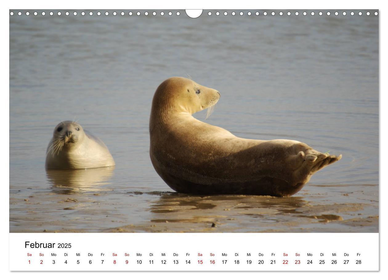 Bild: 9783435389568 | Deutsche Hochseeinsel Helgoland (Wandkalender 2025 DIN A3 quer),...