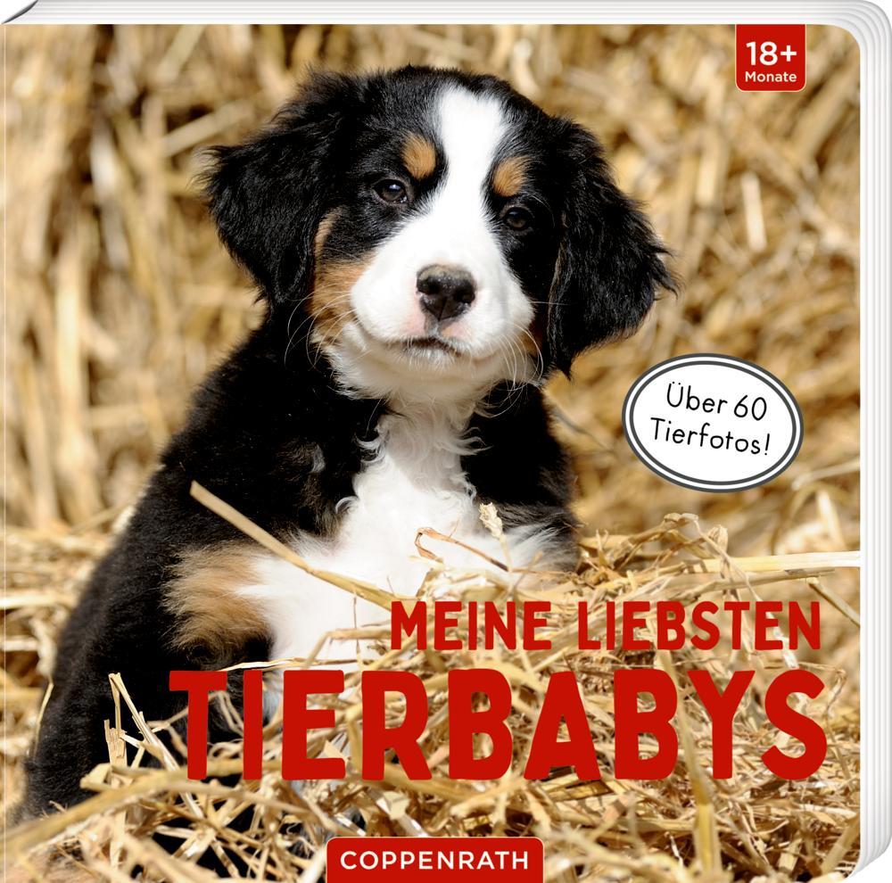 Cover: 9783649641452 | Meine liebsten Tierbabys | Buch | 28 S. | Deutsch | 2022