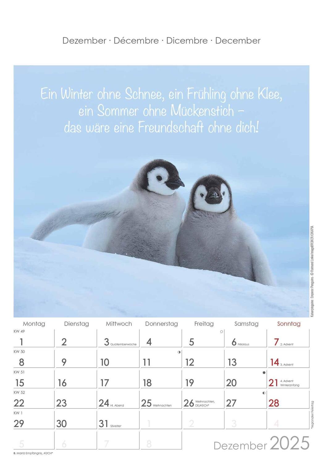 Bild: 4251732341039 | Kleine Freunde 2025 - Bildkalender 23,7x34 cm - Kalender mit Platz...