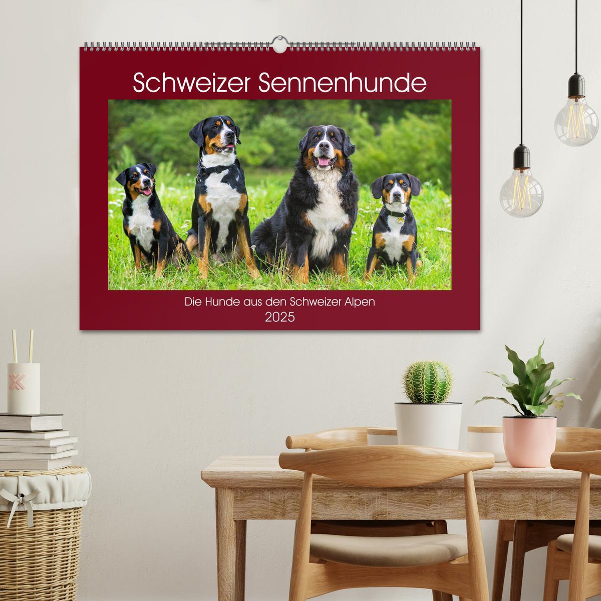 Bild: 9783435312597 | Schweizer Sennenhunde - die Hunde aus den Schweizer Alpen...