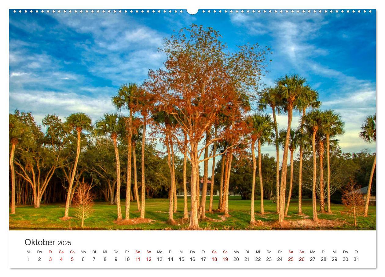 Bild: 9783435000883 | Florida - The Sunshine State (hochwertiger Premium Wandkalender...