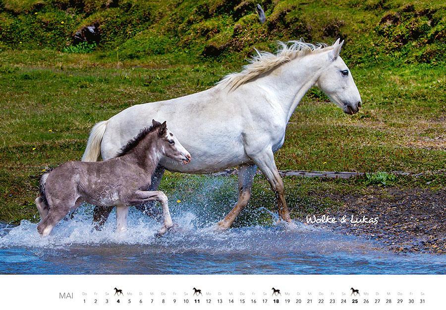 Bild: 9783966648349 | Tierkinder auf dem Bauernhof Kalender 2025 | J. -L. Klein (u. a.)