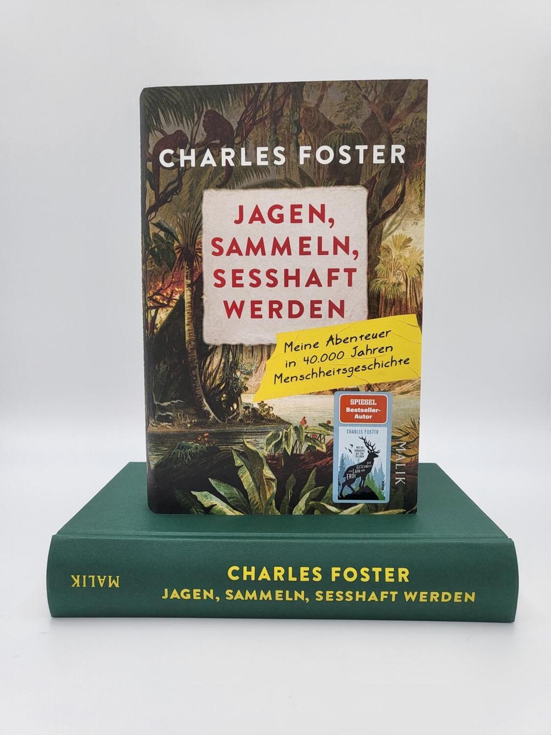 Bild: 9783890295534 | Jagen, sammeln, sesshaft werden | Charles Foster | Buch | 416 S.