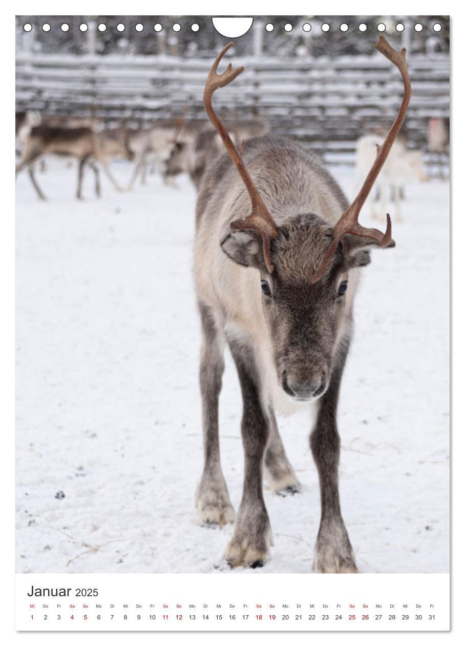 Bild: 9783435886623 | Winter in Lappland - Bezaubernde Schönheit (Wandkalender 2025 DIN...