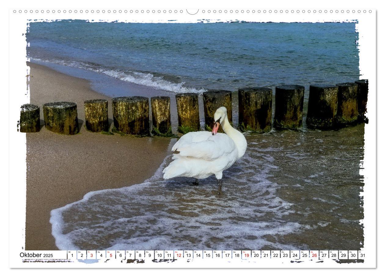 Bild: 9783383812866 | Zingst Sehnsucht nach Meer (Wandkalender 2025 DIN A2 quer),...