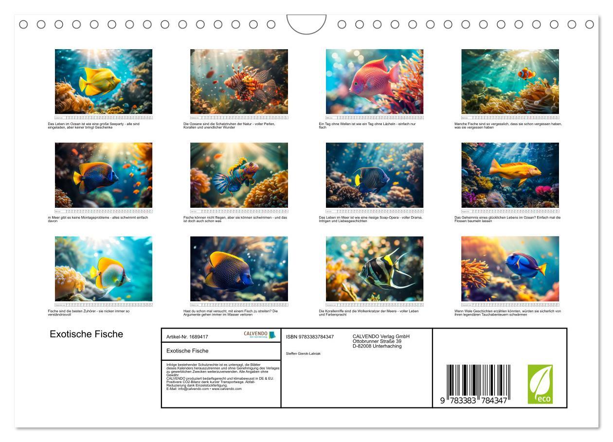 Bild: 9783383784347 | Exotische Fische (Wandkalender 2025 DIN A4 quer), CALVENDO...