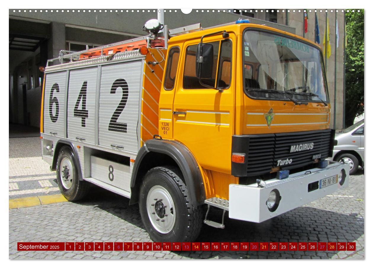 Bild: 9783383997846 | Feuerwehrautos (Wandkalender 2025 DIN A2 quer), CALVENDO...