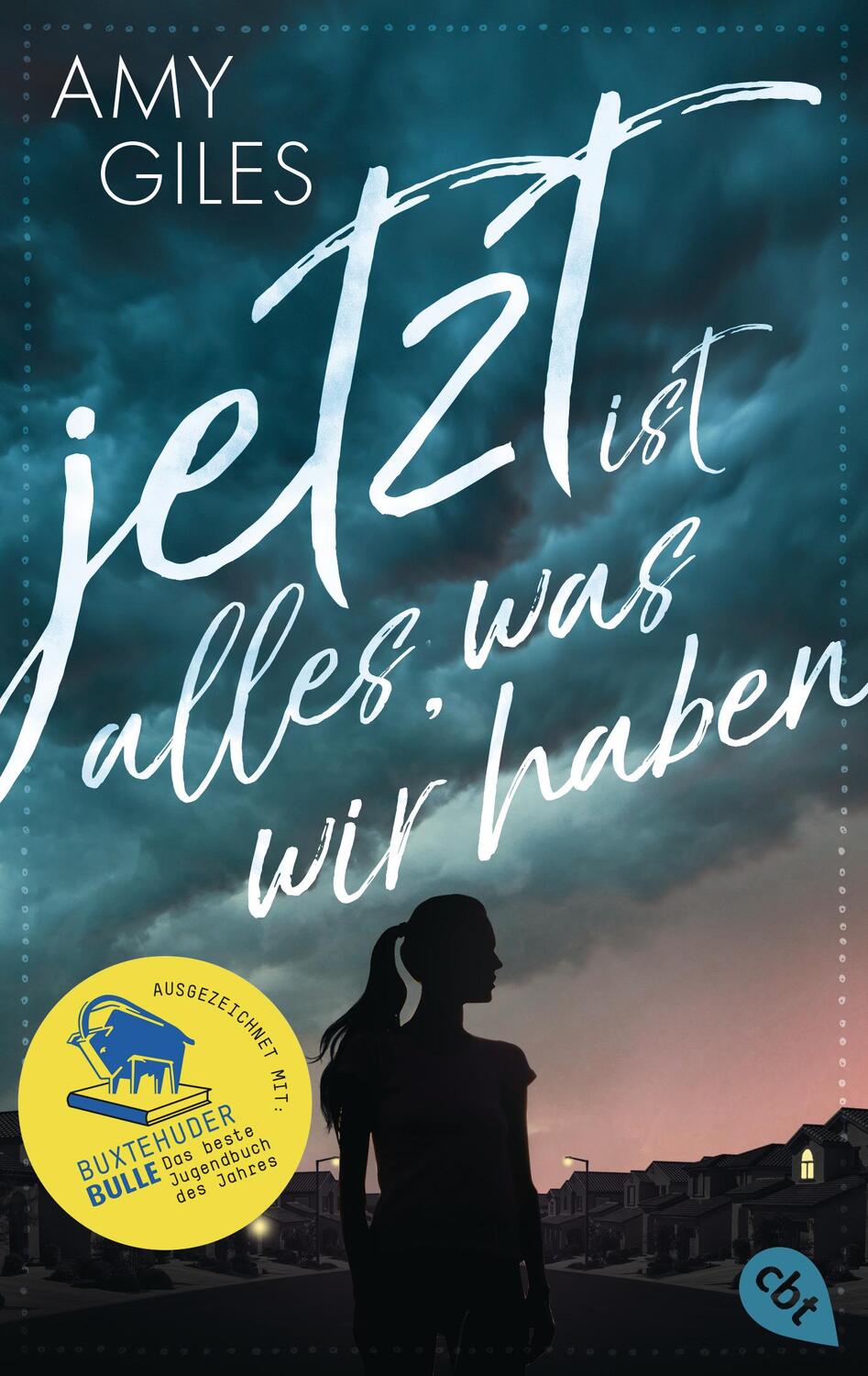 Cover: 9783570313657 | Jetzt ist alles, was wir haben | Amy Giles | Taschenbuch | 400 S.