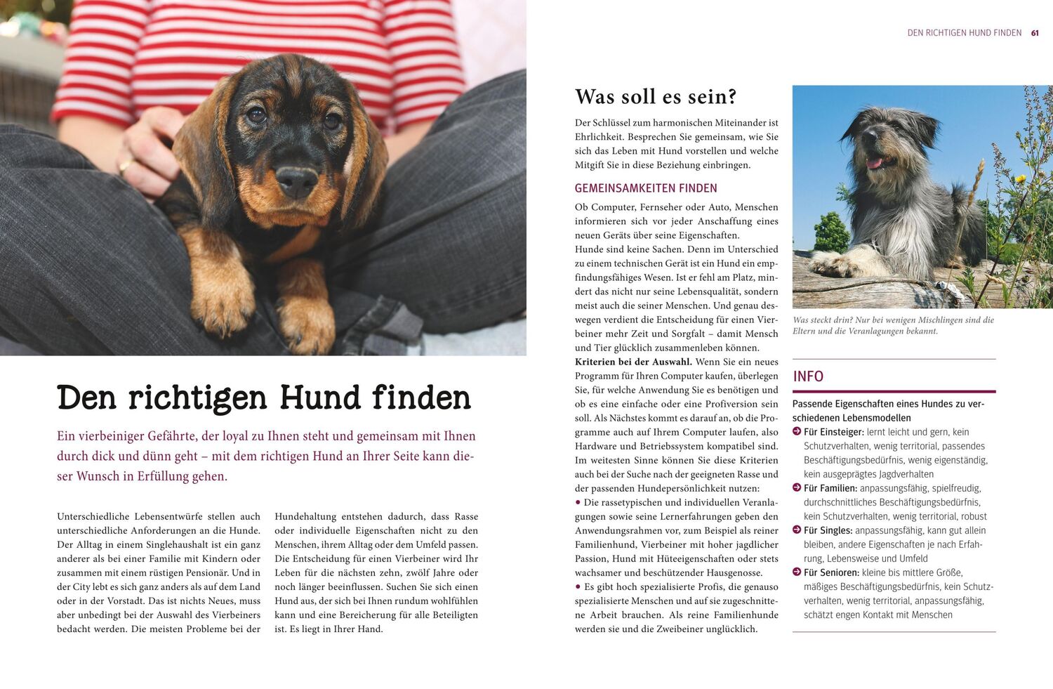 Bild: 9783833828744 | Praxishandbuch Hunde | Heike Schmidt-Röger | Buch | 288 S. | Deutsch