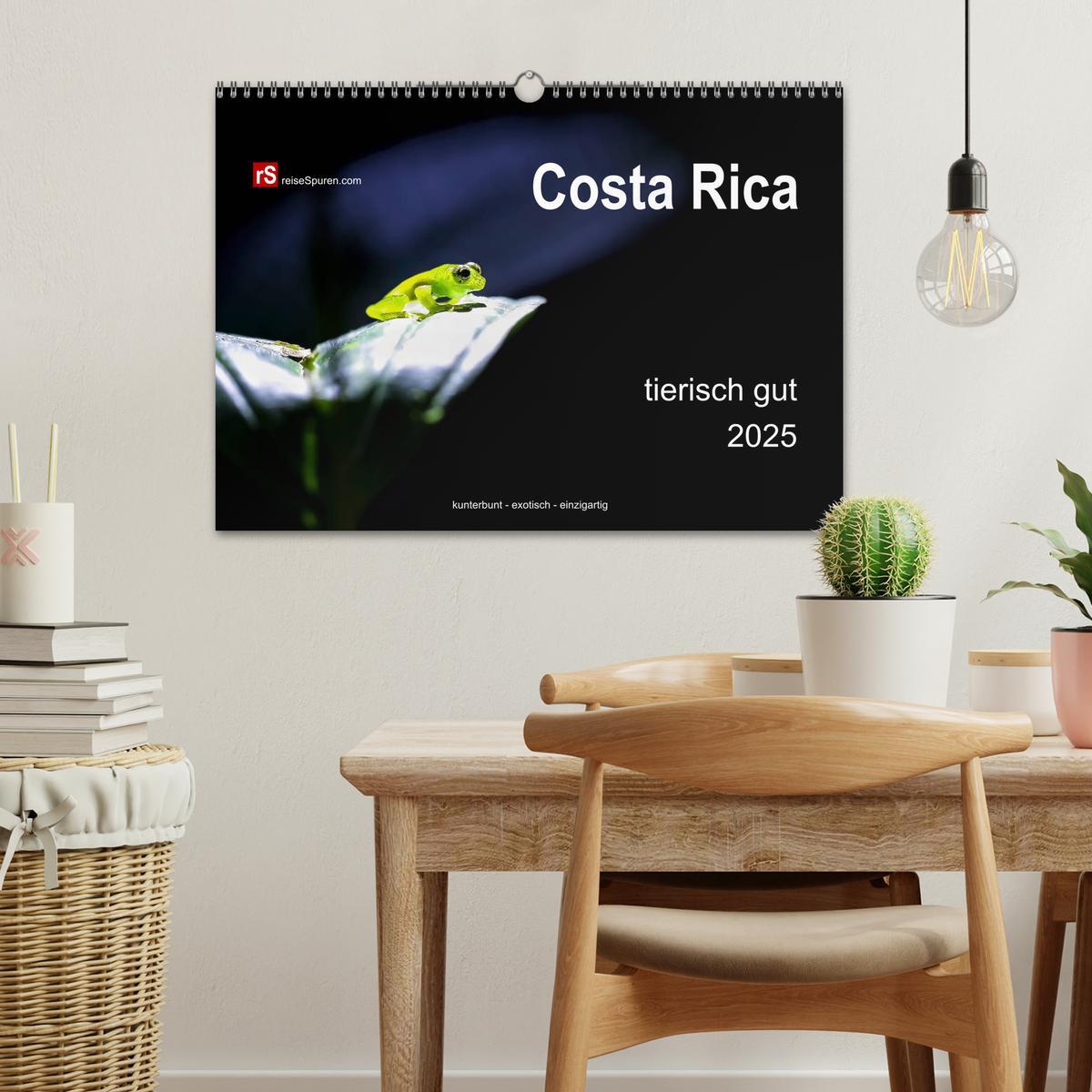 Bild: 9783435728053 | Costa Rica tierisch gut 2025 (Wandkalender 2025 DIN A3 quer),...