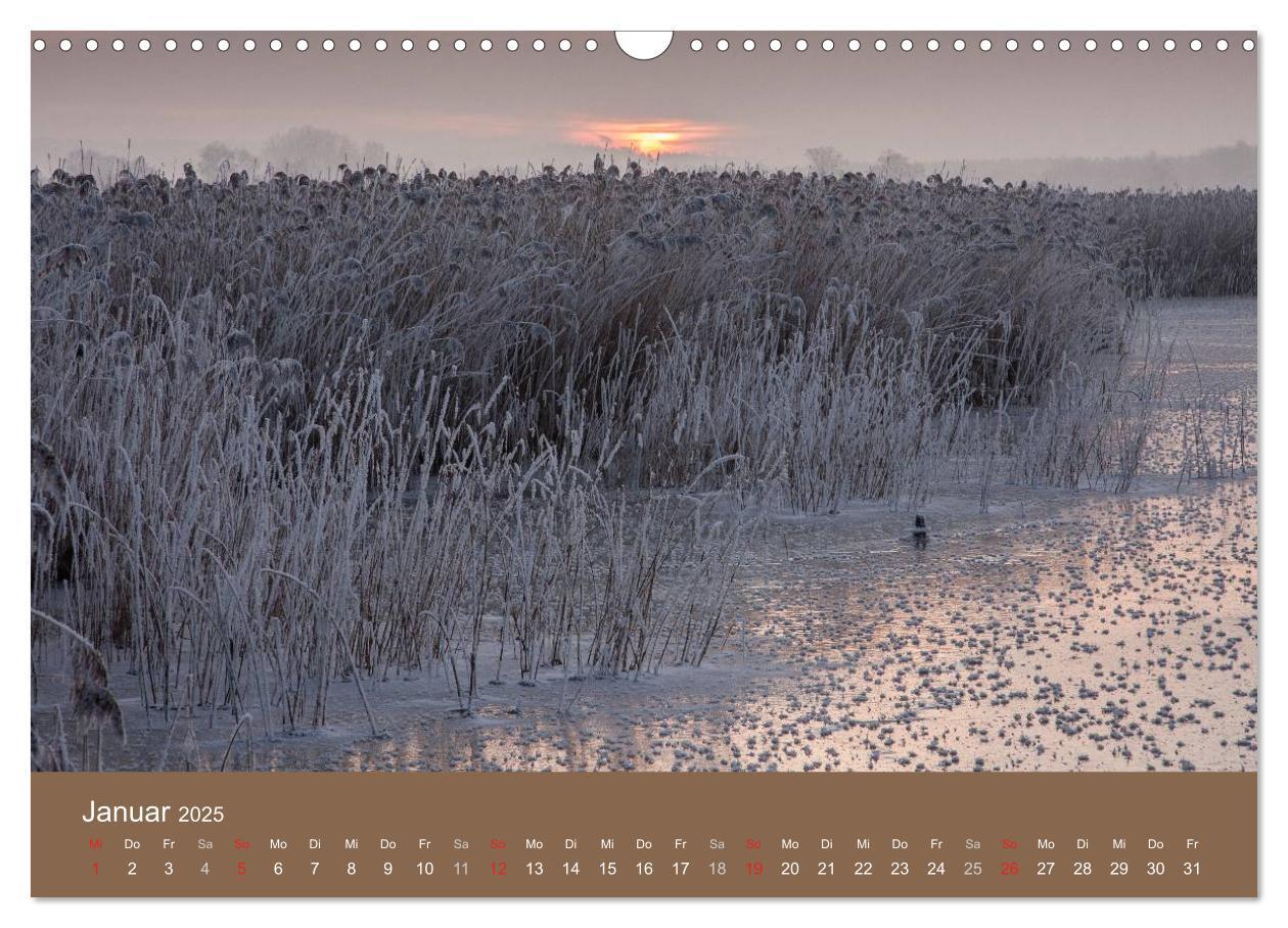 Bild: 9783435516889 | Der Federsee - Vogelparadies in Oberschwaben (Wandkalender 2025 DIN...