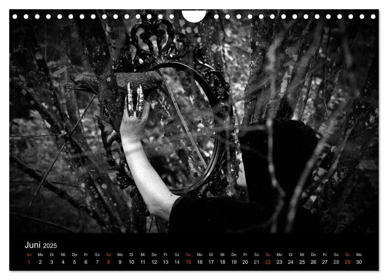 Bild: 9783435780457 | Hexen (Wandkalender 2025 DIN A4 quer), CALVENDO Monatskalender | 2025