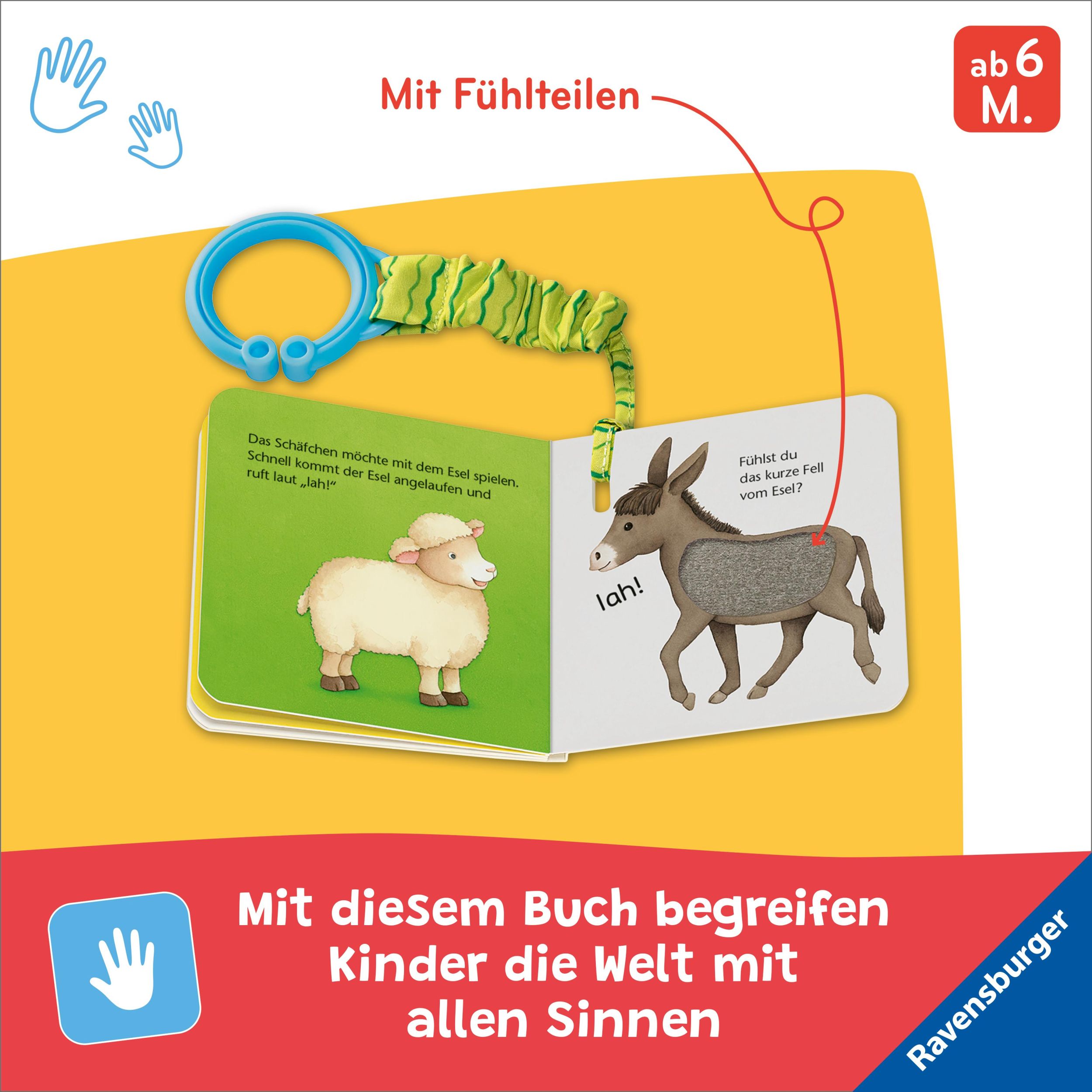 Bild: 9783473421695 | Mein erstes Buggybuch: Fühl mal! Lieblingstiere | Ava-Barb Yaga | Buch