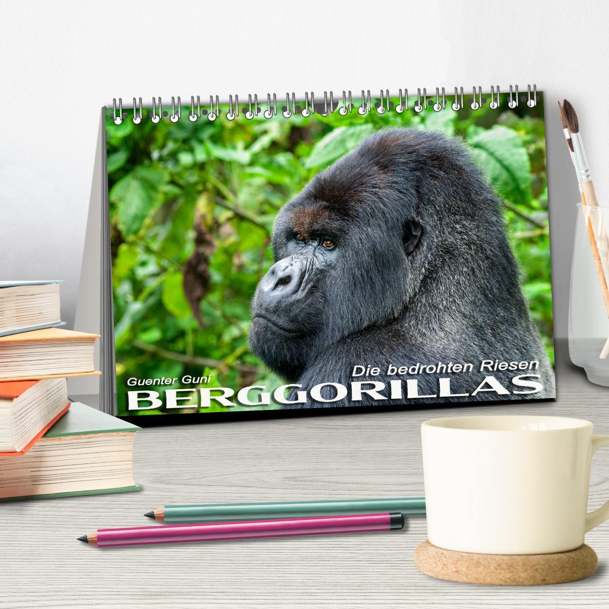 Bild: 9783435118700 | Berggorillas: die bedrohten Riesen (Tischkalender 2025 DIN A5...